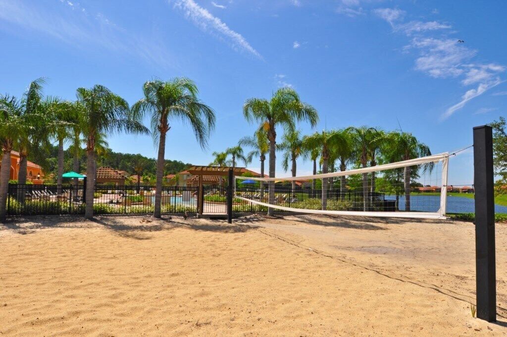 Una cancha de voleibol de playa con red, palmeras y una masa de agua al fondo.