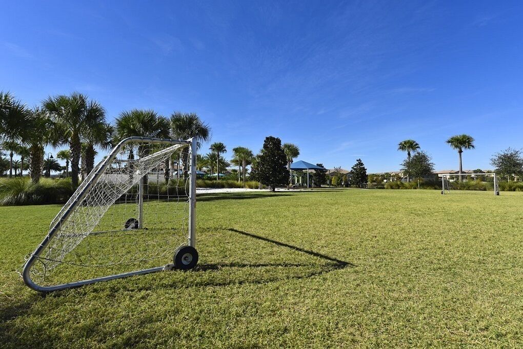A soccer goal in a grassy field with palm trees and a clear blue sky in the background.