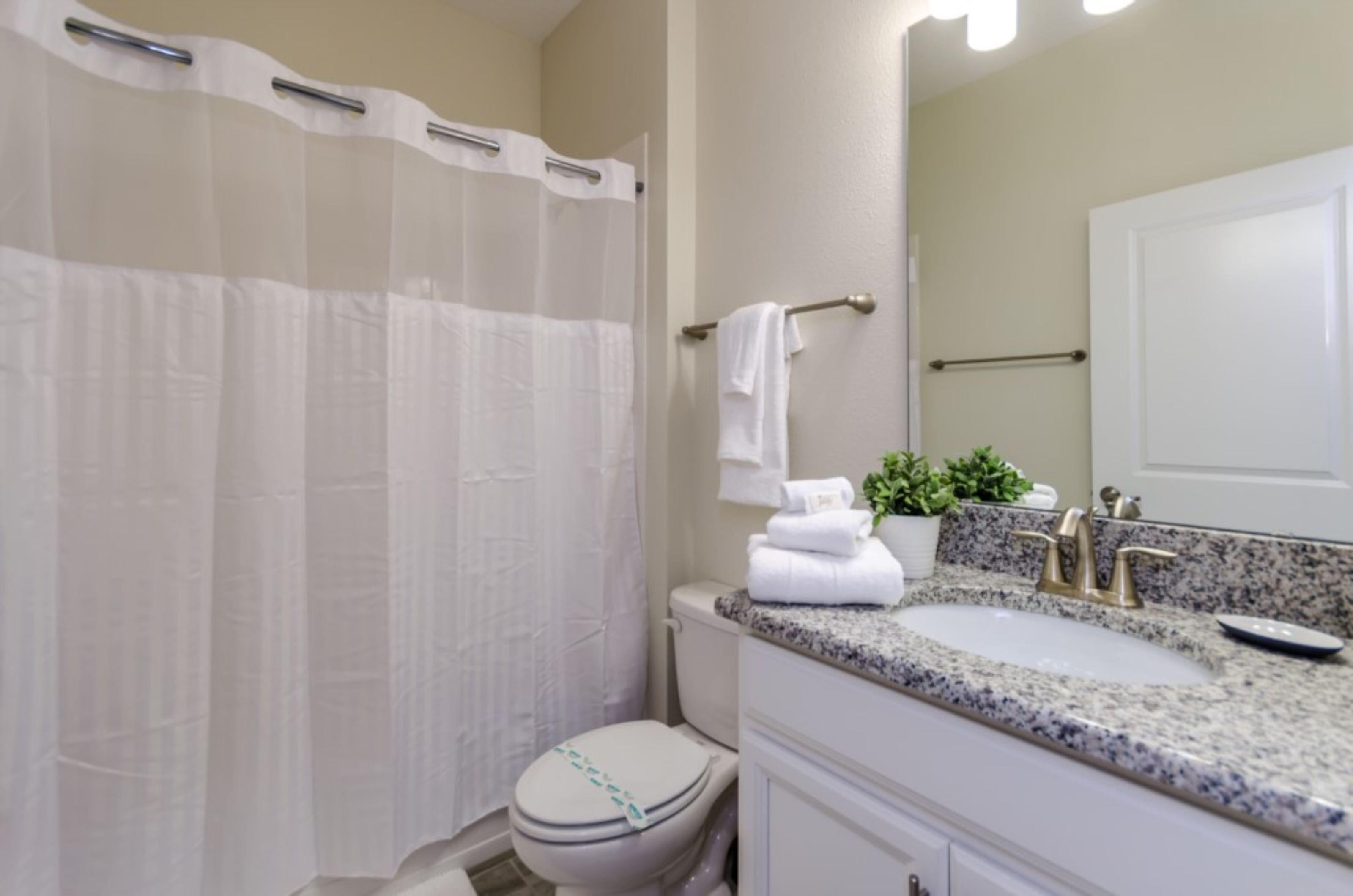 A bathroom with a shower curtain, a toilet, a sink with a granite countertop, a mirror, and a small potted plant.