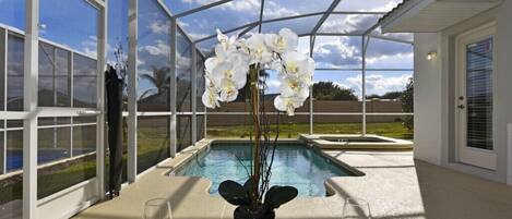 ハウス (Champions Gate-1624GMVDJGIL) | プール | 屋外プール