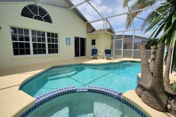 An indoor swimming pool with a curved edge, a covered area with chairs, and a palm tree.