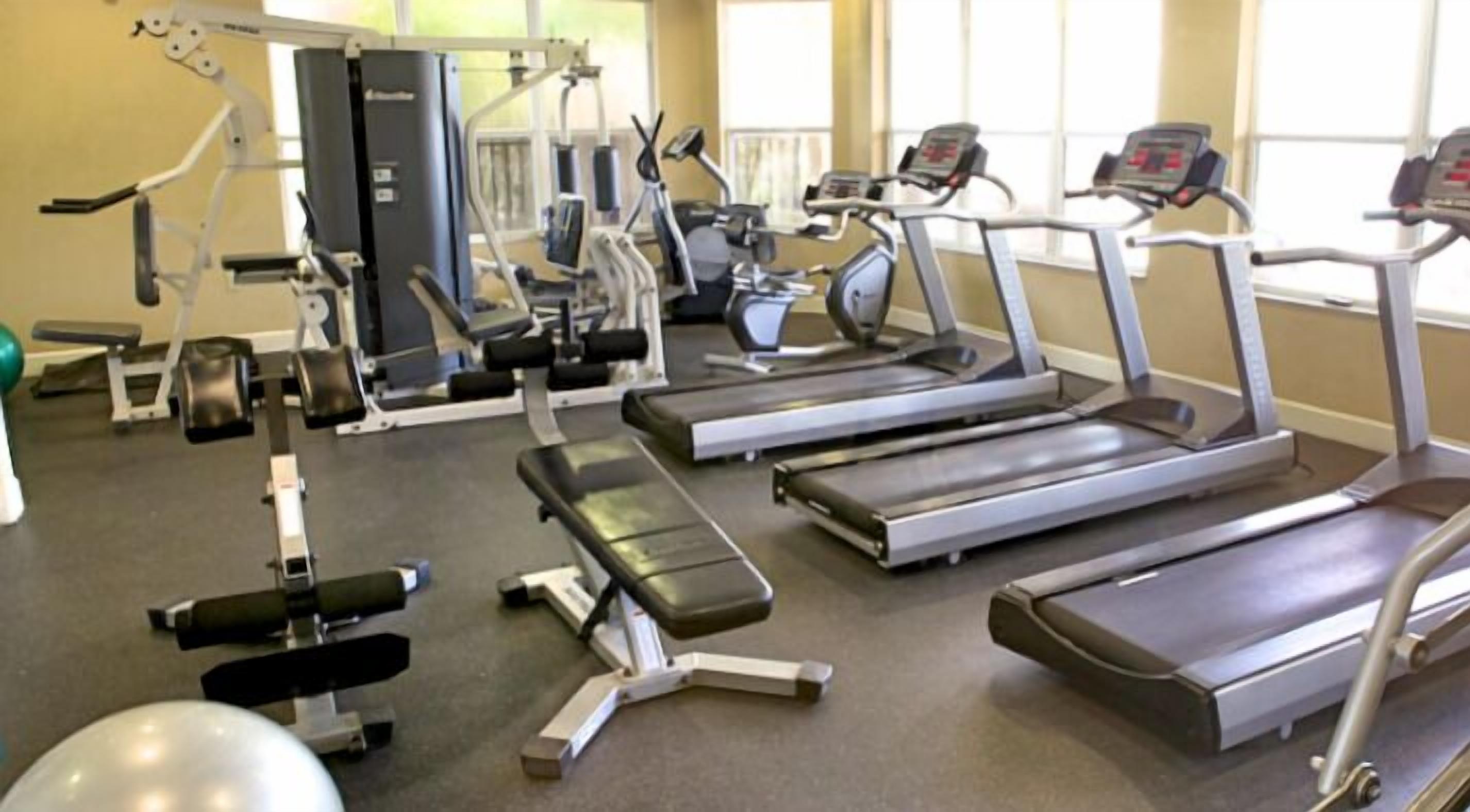 A gym with treadmills, elliptical machines, and weight benches.