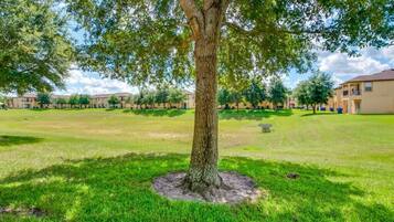 House | Property grounds