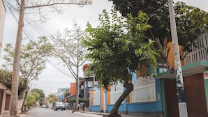 Quang cảnh đường phố