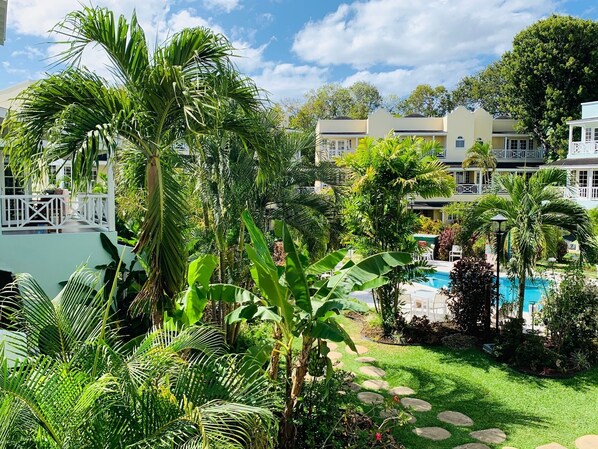 A lush garden with a swimming pool, palm trees, and a white fence.