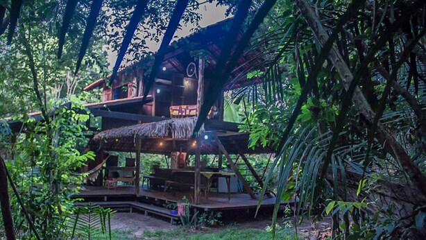 A multi-level treehouse structure surrounded by dense foliage. - Curuá House (Alter do Chão)