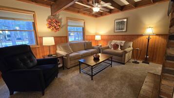 Télévision, cheminée, lecteur de DVD