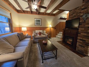 Una televisión, una chimenea, un reproductor de DVD