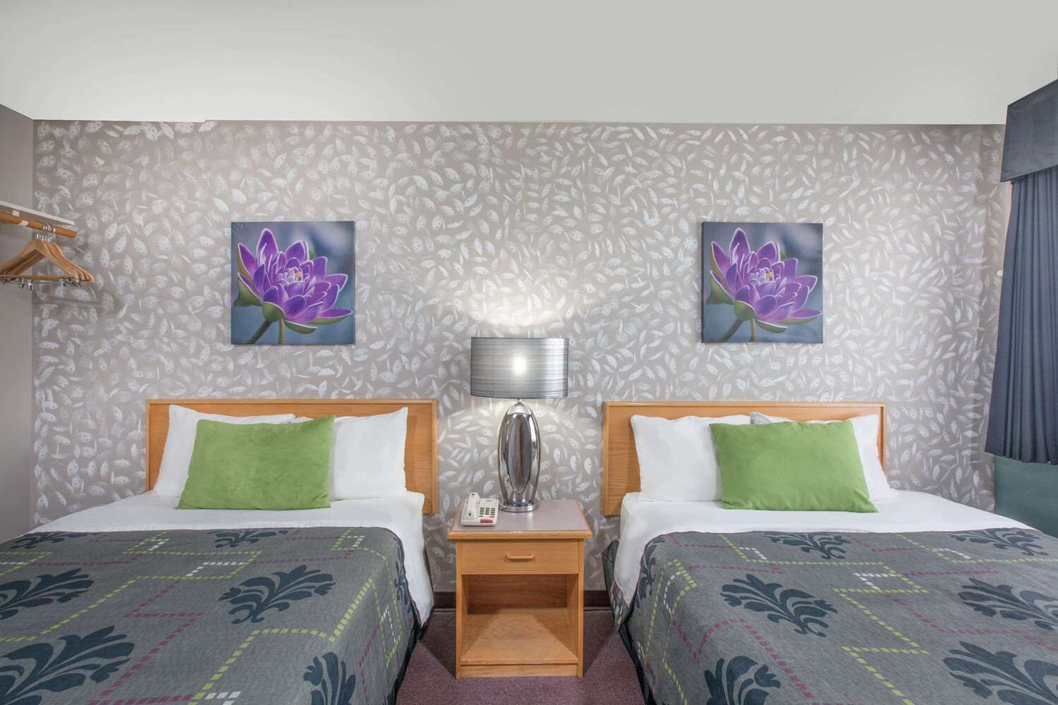 Standard Double Room - Hypoallergenic pets ONLY | Interior