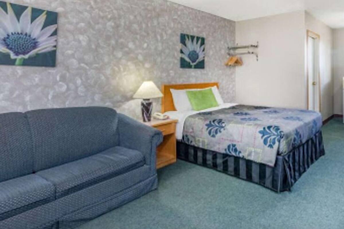 A hotel room with a bed, a blue sofa, a nightstand with a lamp, and two wall-mounted flower paintings.