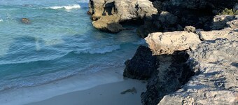 Beautiful New Ocean Front Condo!!