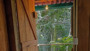 Puerta de madera que da a un balcón con vistas a follaje tropical.