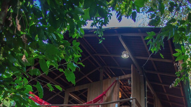 Una casa en el árbol de madera con una escalera y una hamaca.