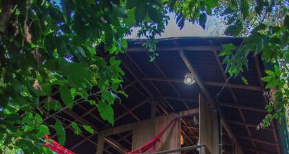 Bangalô na floresta