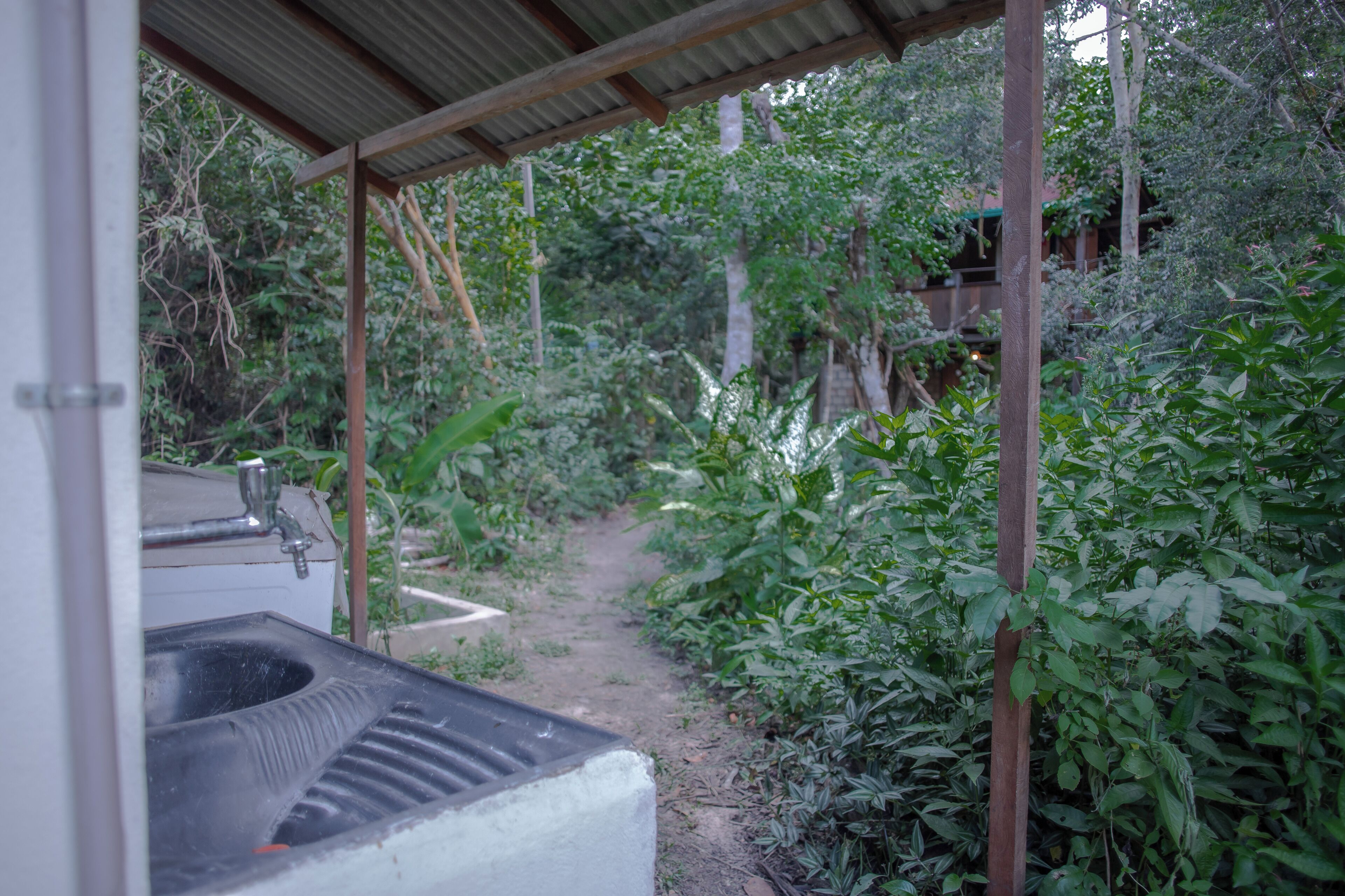 A covered outdoor area with a sink and a path leading through dense greenery.