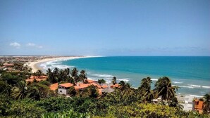 A coastal view with a beach, palm trees, and buildings with red roofs.