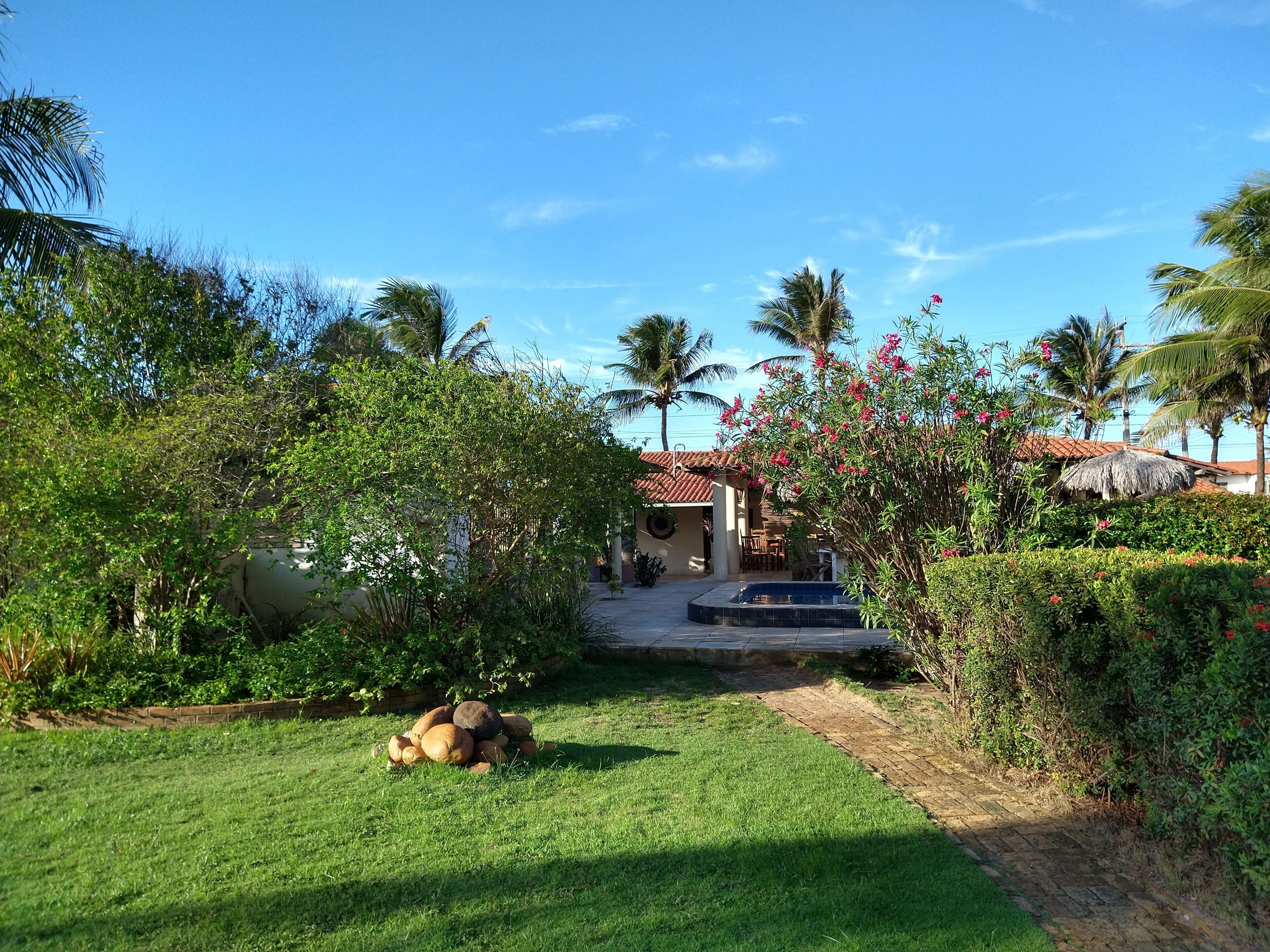 Um jardim tropical com piscina, palmeiras e um prédio com telhado de azulejos.