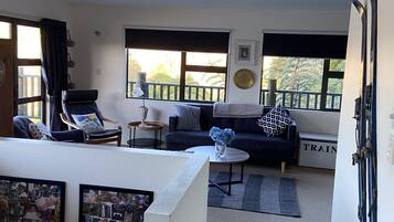 Fernseher, Kamin, DVD-Player, Videothek