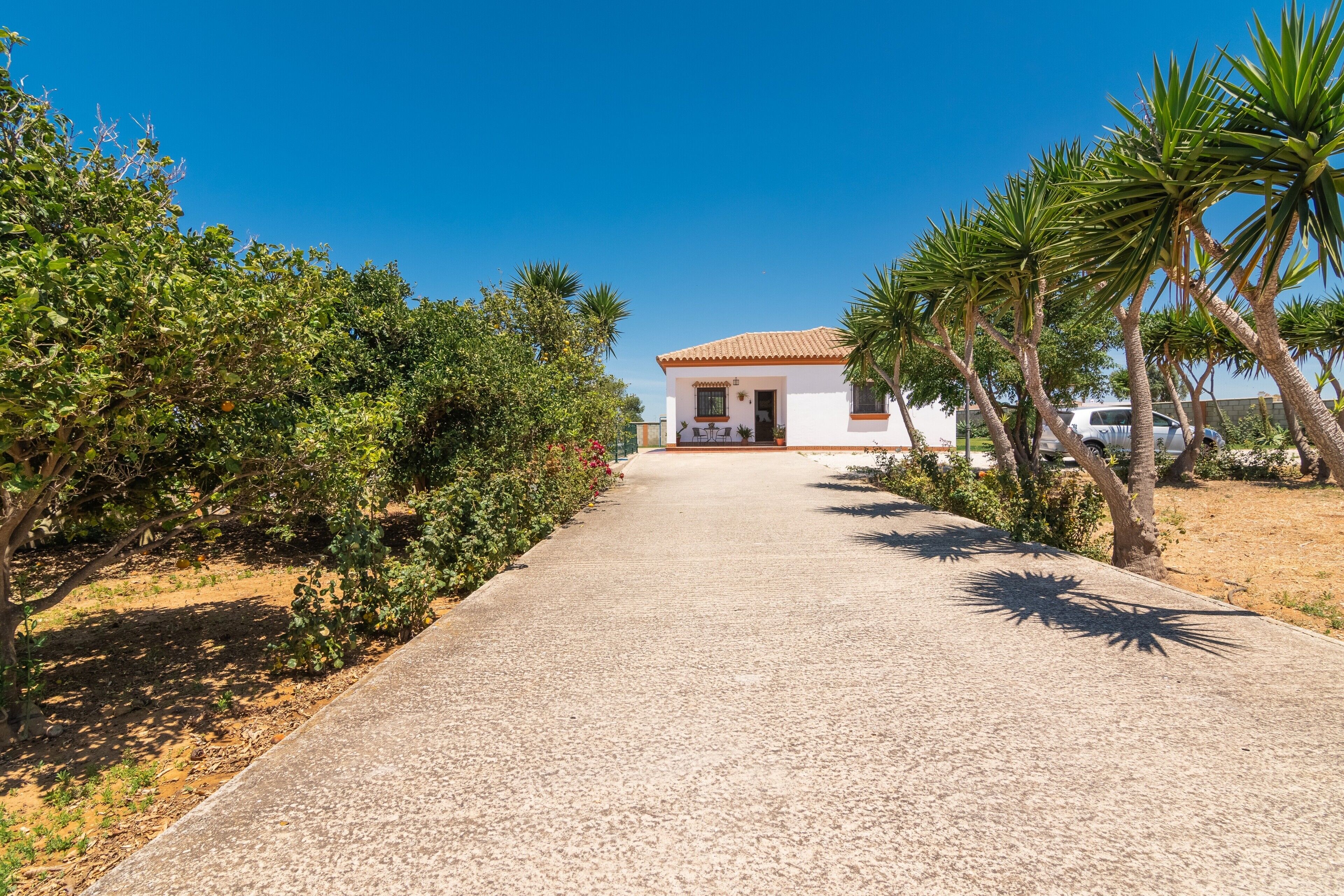 A pathway leading to a white building with a tiled roof, surrounded by greenery and palm trees.