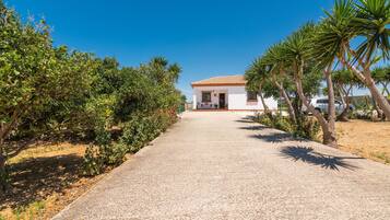 A pathway leading to a white building with a tiled roof, surrounded by greenery and palm trees.