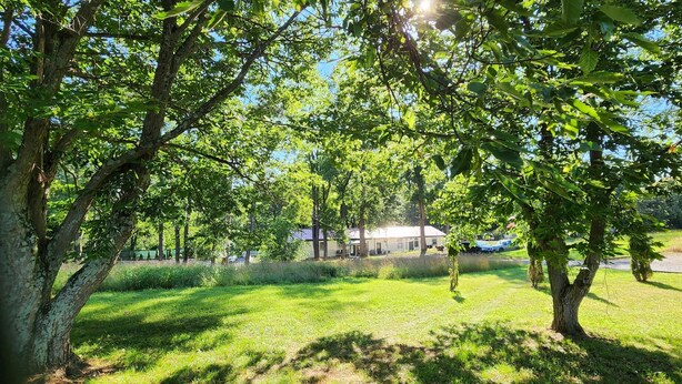 A grassy area with trees and a building in the background. - 1950's Retro experience.  Classic RV.  (SCOTTDALE)