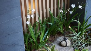 Ein Garten mit weißen Blüten, Grünpflanzen und Steinen.
