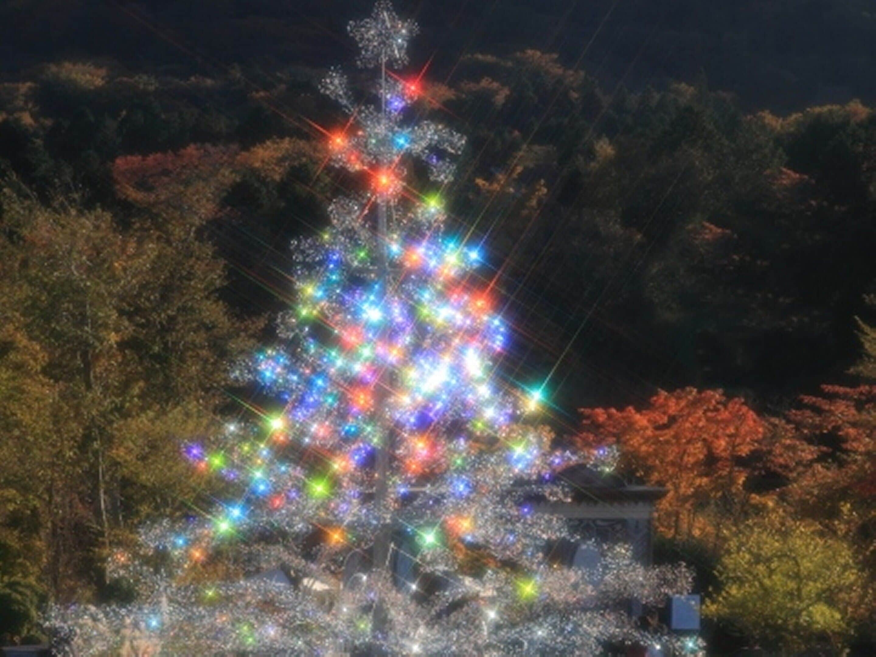 A tree decorated with multicolored lights.