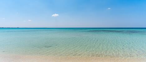 Plage à proximité