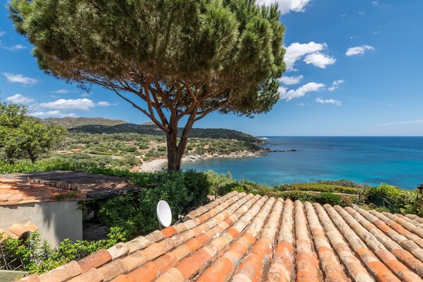 Una propiedad costera con techo de tejas, un árbol grande y vistas al mar.