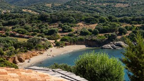 Eine Küstenlandschaft mit Strand, viel Grün und Hügeln.