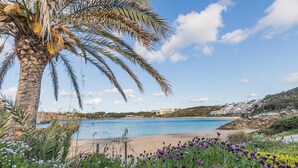 A beach with a palm tree, flowers, and a distant building. - Beautiful Apartment with Wi-Fi, Pool, Terrace and Sea View (Arenal d'en Castell)