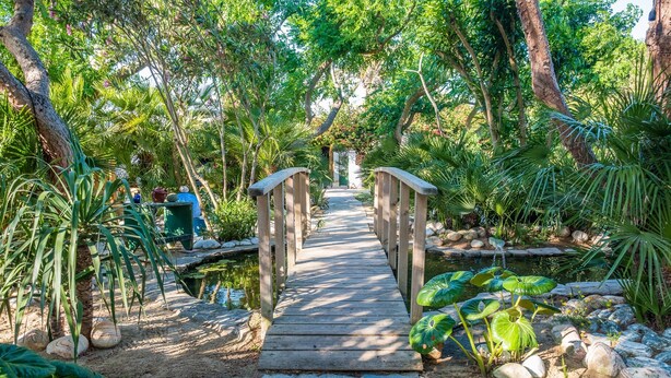 A wooden bridge in a garden with a pond and rocks.