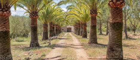 المنطقة المحيطة بالمنشأة