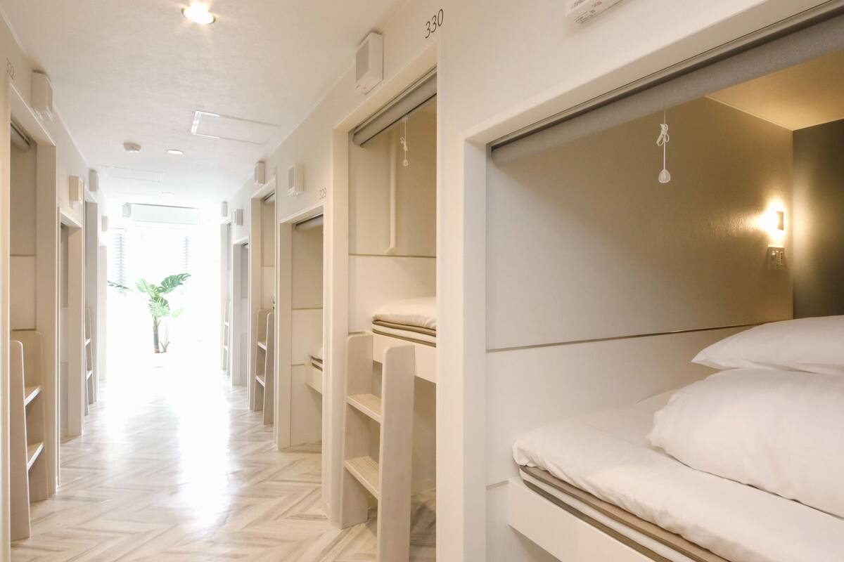 A hotel corridor with bunk beds, a herringbone floor, and a view of a plant in the distance.