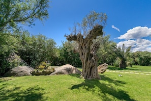 Áreas de la propiedad