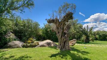 Jardines del alojamiento