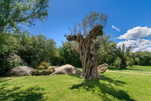 Property grounds - Mediterranean villa with terrace, garden, Wi-Fi and shared pool (PORTO ROTONDO)