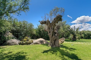 Overnattingsstedets uteområder