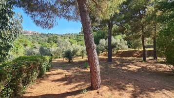 Terrein van de accommodatie