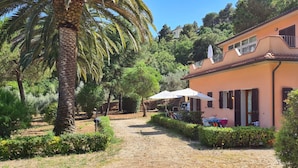 Eine Villa mit gepflasterter Auffahrt, Palmen und einem Garten mit Tisch und Sonnenschirm.