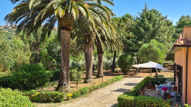 Ein Haus mit einer Terrasse, Sitzgelegenheiten im Freien und einem Garten mit Palmen und anderer Bepflanzung.