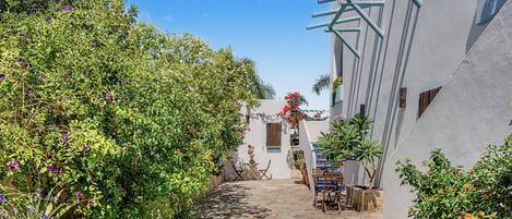 A narrow stone pathway flanked by lush greenery and white buildings with blue accents.