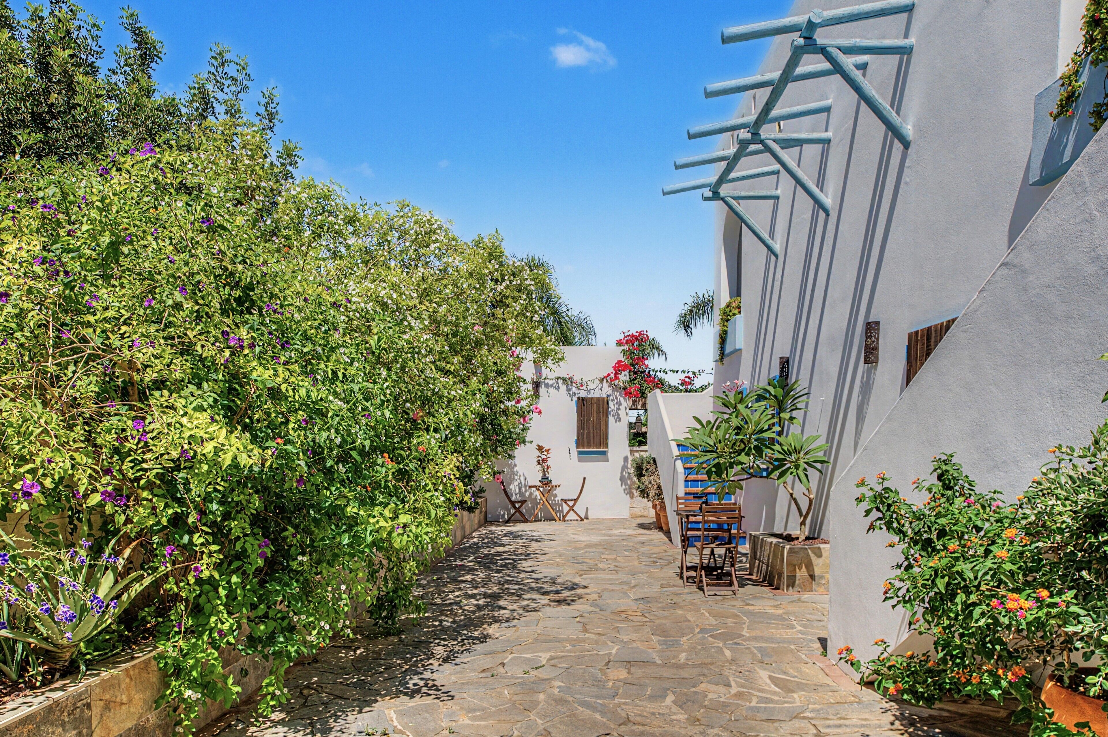 A narrow stone pathway flanked by lush greenery and white buildings with blue accents.