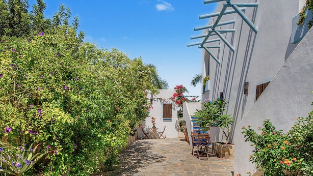 A narrow stone pathway flanked by lush greenery and white buildings with blue accents. - Charming Apartment with Pool, Terrace, Air Conditioning and Wi-Fi (Conil)