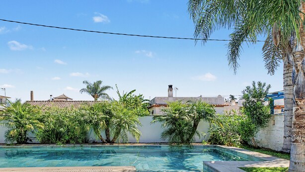 A swimming pool with a clear blue water surface, surrounded by a grassy area and various tropical plants.