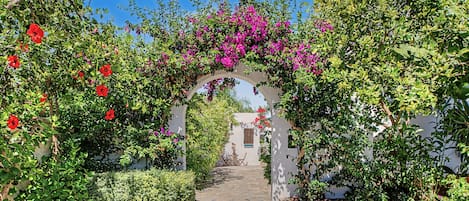 An outdoor pathway leading through a garden with a white wall and an archway covered in flowering plants.
