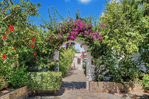 An outdoor pathway leading through a garden with a white wall and an archway covered in flowering plants.