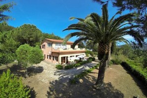 Une maison à deux étages avec un patio, entourée d’arbres et d’un palmier.