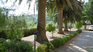 Área da propriedade