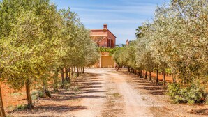 Un sentier traversant un vignoble et menant à un bâtiment doté d’un toit rouge.